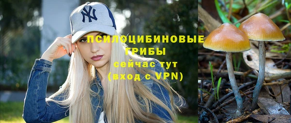 а пвп мука Киреевск