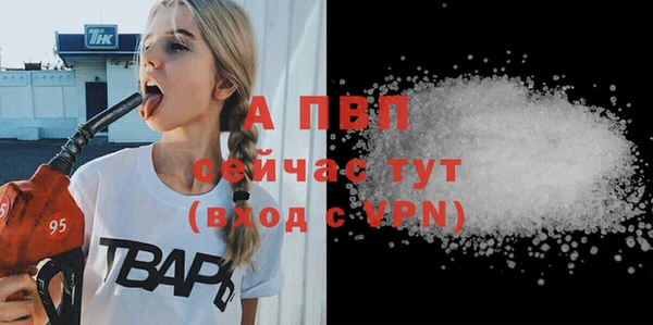 эйфоретик Кинешма