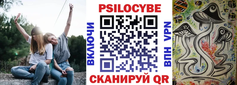 Псилоцибиновые грибы мицелий  Купить закладки  Богданович 