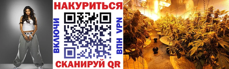 Купить где  Богданович  Шишки марихуана AK-47 